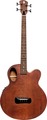 Spector Timbre Jr. (walnut stain)