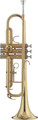 Stagg WS-TR215S / Trumpet Bb + Soft Bag Trombeta B