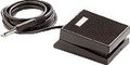 PS100 (Footswitch)