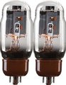 TAD KT66 RT822 Premium Matched Duett Tube Amplifier Sets