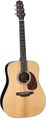 Takamine EF360S-TT Thermal Top (Gloss Natural)