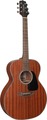 Takamine GN11M NS