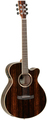 Tanglewood DBT SFCE AEB (ebony, natural satin)