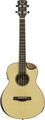 Traveler Guitar Redlands Concert Bass (spruce)