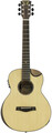 Traveler Guitar Redlands Concert (spruce)