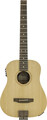 Traveler Guitar Redlands Dreadnought 105E (spruce top)