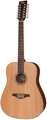 Vintage V501 12-string LH (satin natural,left hand)