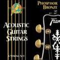 Warwick 12 Strings - Phosphor Bronze Accoustic (12S 010/047)