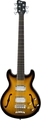 Warwick PS StarBass 5-String (vintage sunburst, passive, fretless)