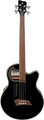 Warwick RockBass Alien Deluxe Hybrid Thinline 4-string (solid black satin) 4-String Acoustic Basses