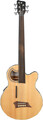 Warwick RockBass Alien Deluxe Hybrid Thinline 5-String (natural transparent satin, fretless) Fretless Acoustic Basses