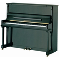 Wilhelm Steinberg IQ 28 Upright Piano (polished ebony) Pianos acústicos