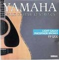 Yamaha FP 1200 (Phosphor Bronze Light 12-Saitig)