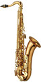 Yanagisawa T-WO2 Professional Model / Tenor Saxophone (gold-lacquer finish) Sassofono tenore B