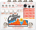 electro-harmonix Grand Canyon Delay & Looper