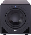 esi-audio Aktiv 10S