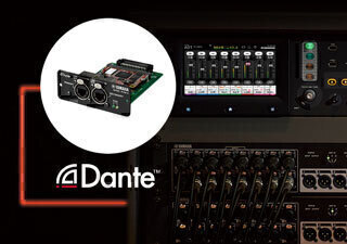 Plug-In & Spielen Sie Dante Stagebox Solution