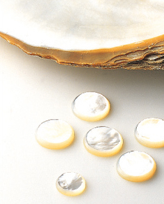 Key Decoration: White Shell Lining