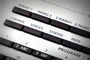 256 Factory Programs