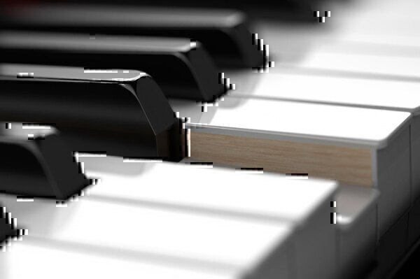 Ivory/ebony feel