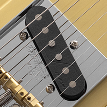 FISHMAN PICKUPS