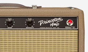 BRAUN PRINCETON AMP