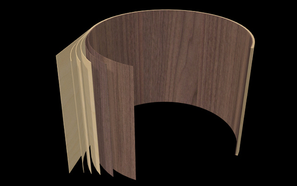 Shells (Walnut/Birch)