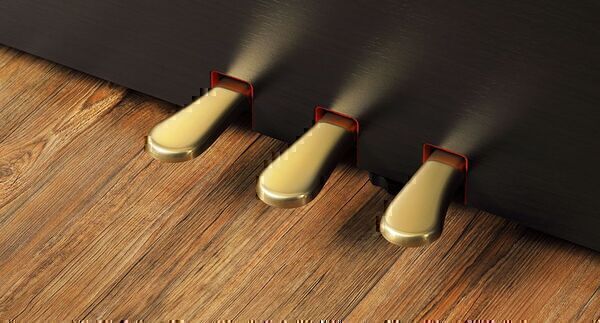 Grand Feel Pedal System