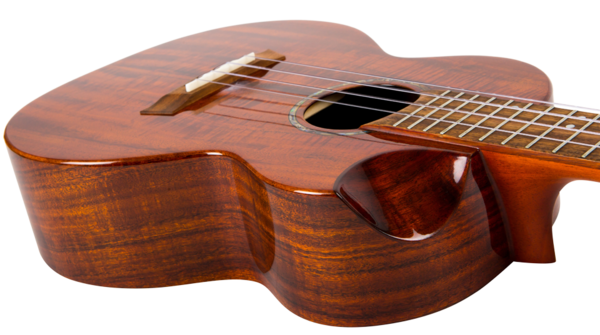 Vera tentazione Elegante spalla mancante