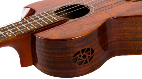 Porta audio laterale unica