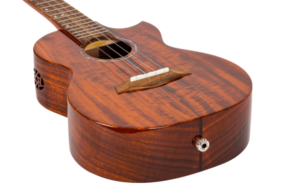 Doppio pickup attivo C1U