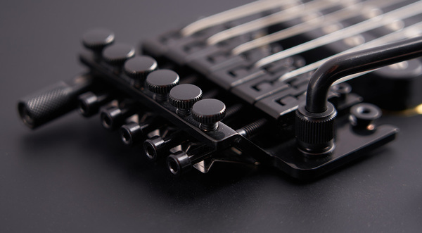 Trem de verrouillage Floyd Rose de marque EVH, écrou de verrouillage R3 et EVH D-Tuna