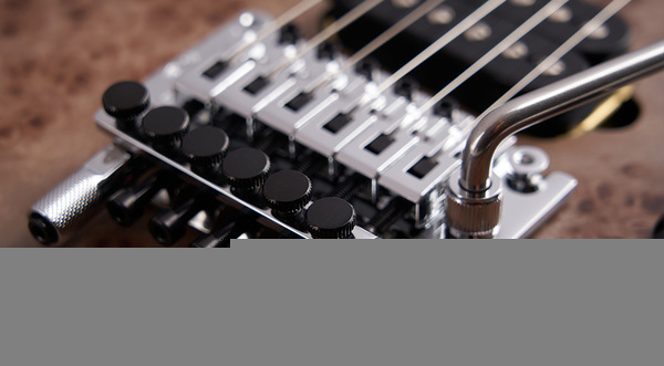 Trem di bloccaggio Floyd Rose con marchio EVH, dado di bloccaggio R3 ed EVH D-Tuna
