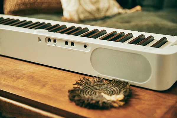 A Speaker System that Brings Your Performance to Life