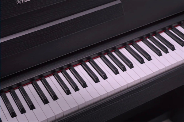 RISONANZA ARMONICA COME QUELLA DI UN PIANOFORTE A CODA: VIRTUAL RESONANCE MODELING LITE (VRM LITE)