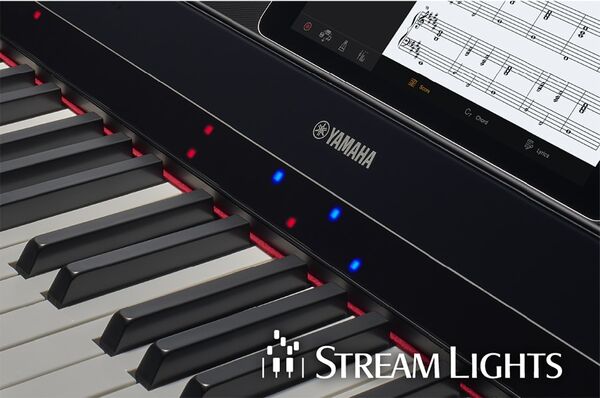Stream Lights zeigen Ihnen den Weg