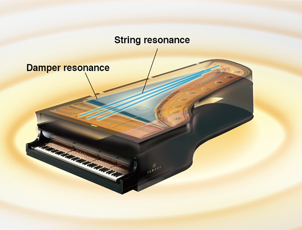 Virtuelle Resonanzmodellierung (VRM)