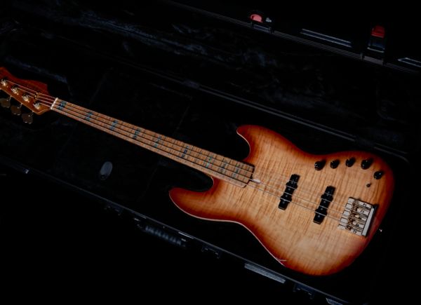 Sire Hard Case
