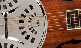 FISHMAN NASHVILLE SERIE PICKUP