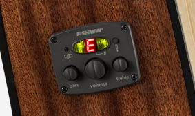 Fischmann® Elektronik