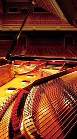 The Sound of a Grand Piano: Shigeru Kawai SK-EX concert grand