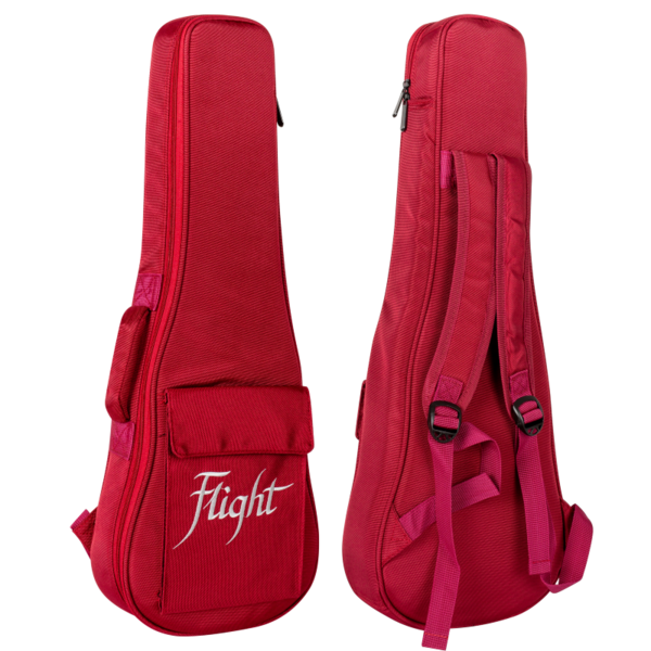 Deluxe gig bag