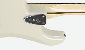 Flush-Mount Dunlop® Strap Locks