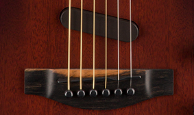Fender Acoustasonic Noiseless Magnetic Pickup