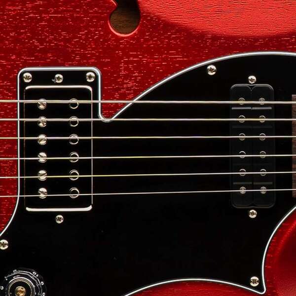 PRS DS-01 & Narrowfield