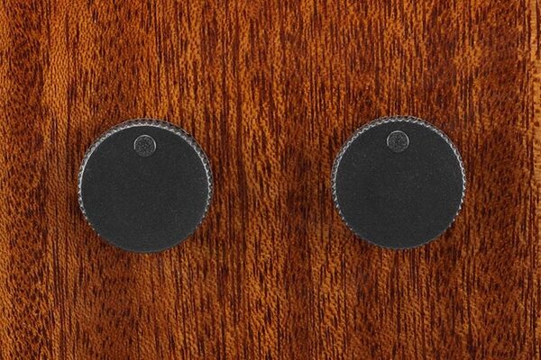 Elettronica personalizzata Ibanez con controllo del volume e del tono