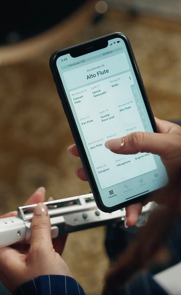 Aerophone Brisa Plus
