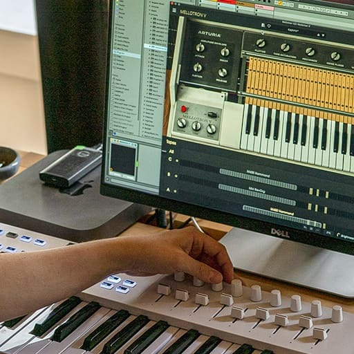 Interaction with Analog Lab