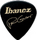 Ibanez 1000PG (black)