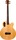 Spector Timbre Jr. (natural)